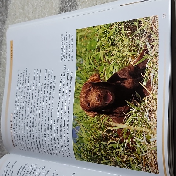 The Labrador Retriever Book Diane Morgan copyright 2005 hardback 206 pgs - Picture 5 of 9